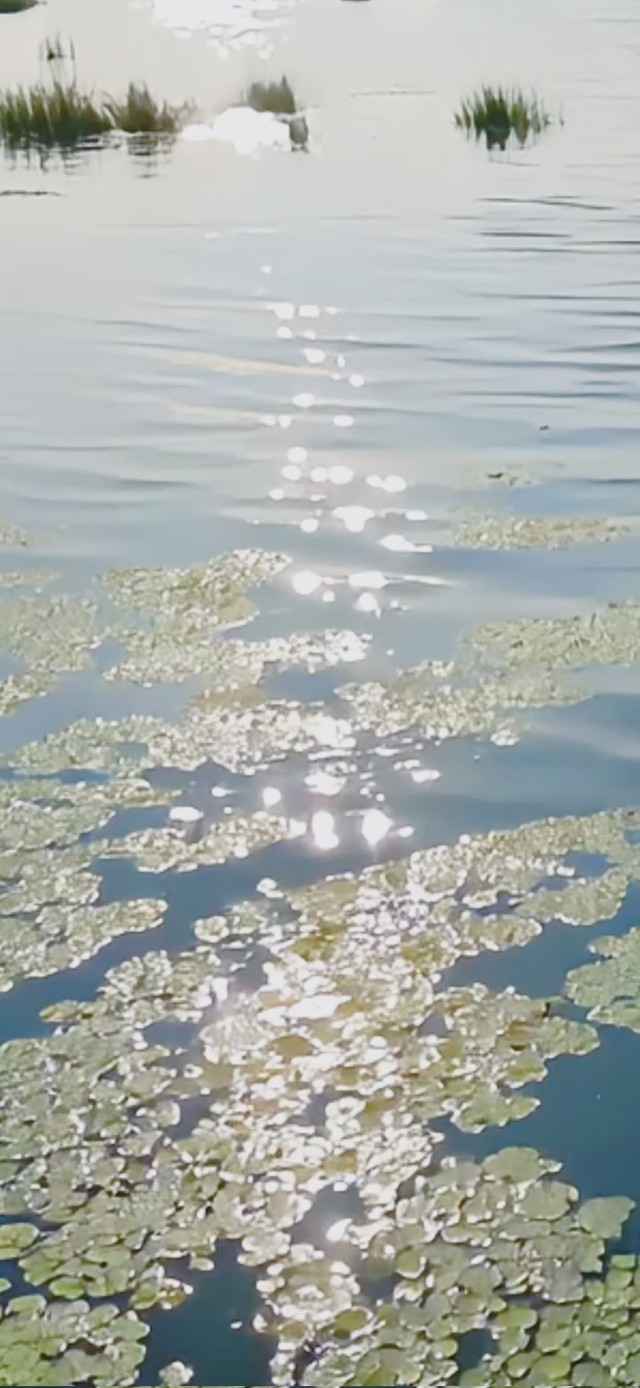 波光粼粼湖面