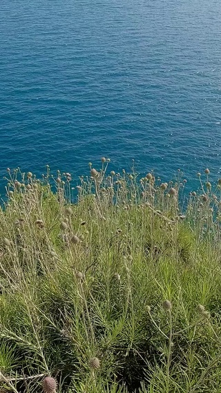 海边风景