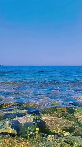 大海4k动态壁纸①