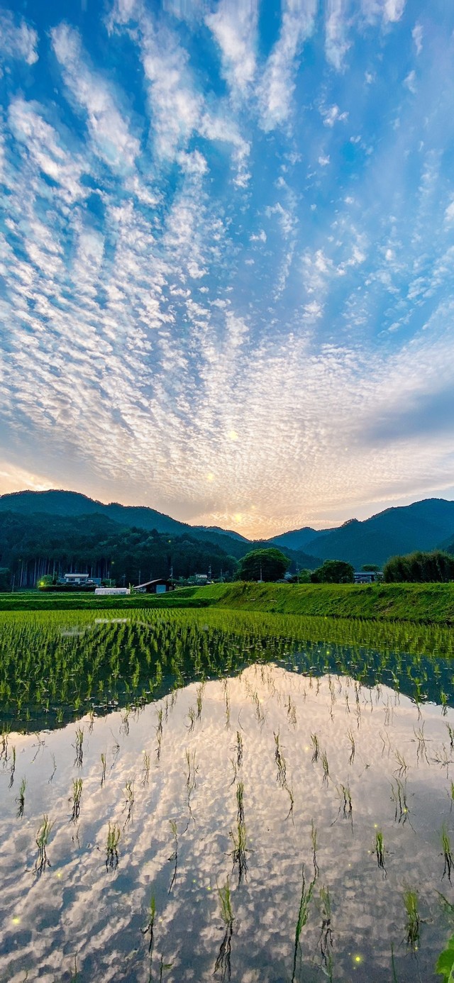 4K故乡的原风景