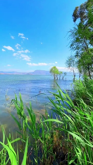 好风景