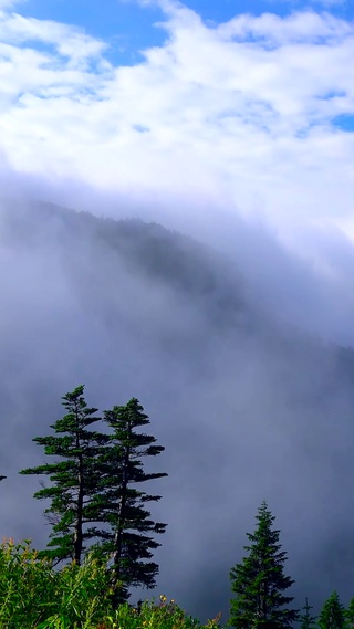 清晨山间云雾