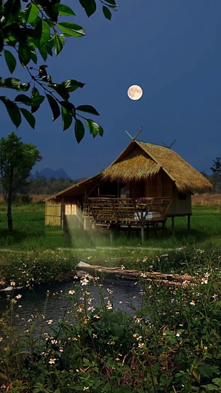美丽夜景