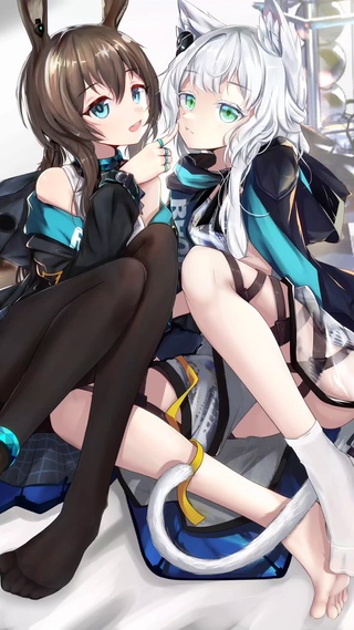 小兔子和小猫咪4k