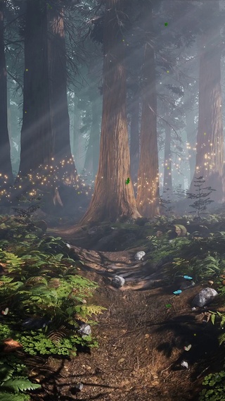 唯美治愈森林萤火虫