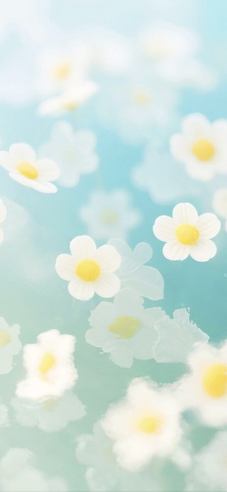 小清新水中花