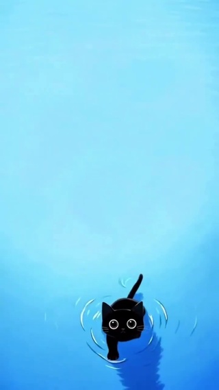 玄猫 4k
