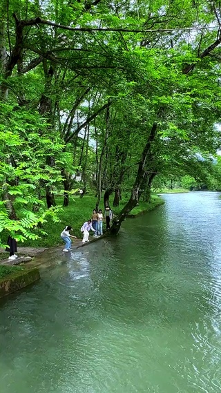 绿野仙踪