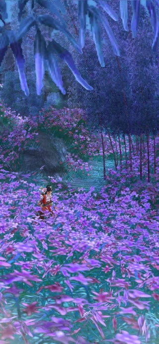 紫竹林