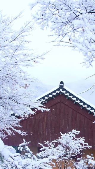 治愈唯美雪景