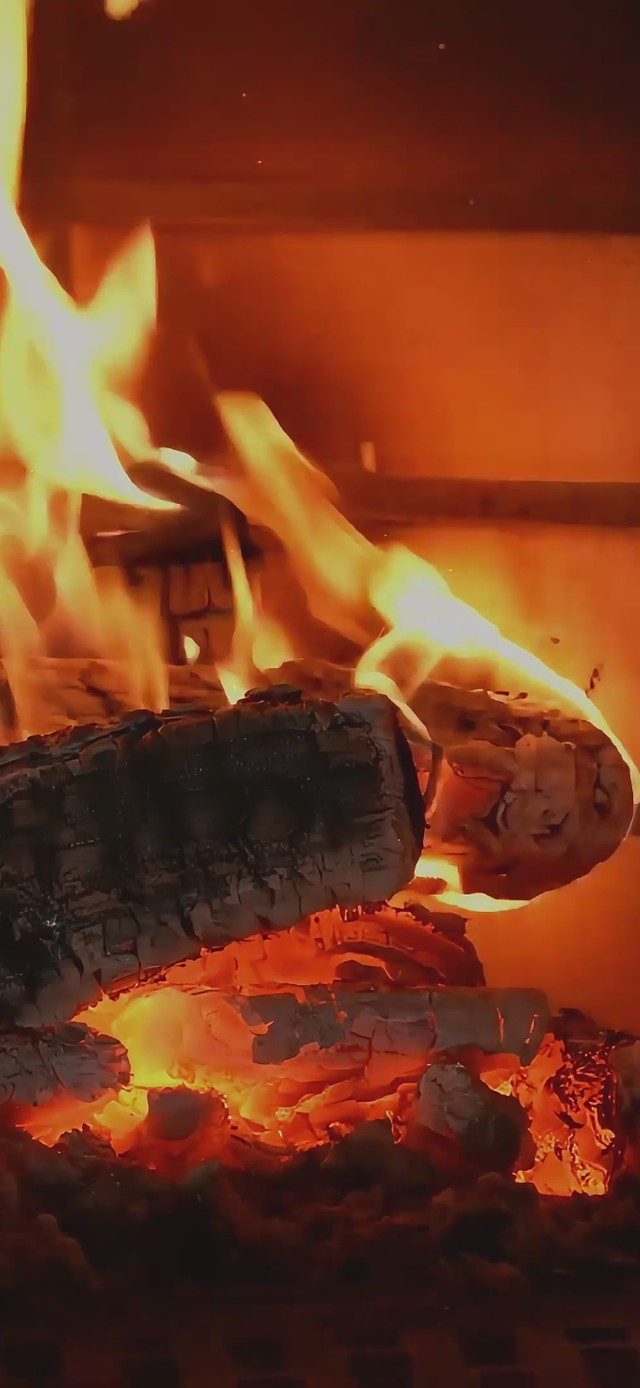 太冷了！ 快来烤火啦！