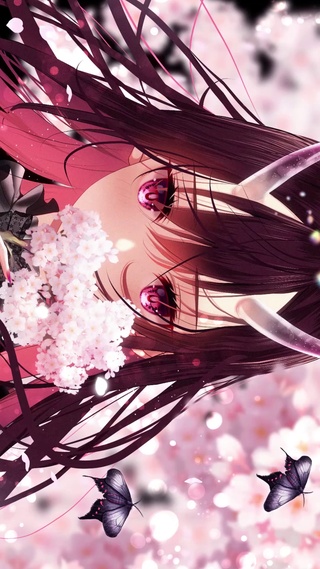 蝴蝶与少女
