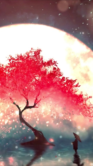 月下樱花树