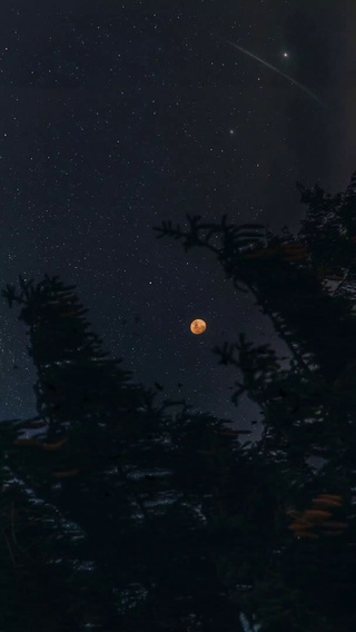 浪漫夜空