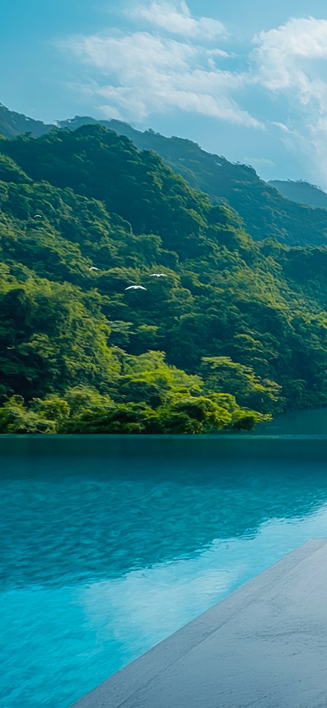 护眼美景无边泳池