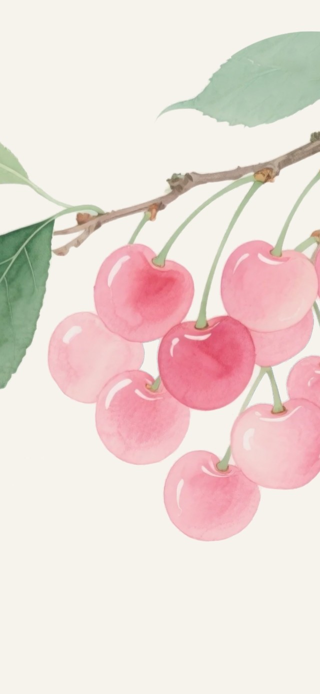 樱有尽有国风樱桃桌面