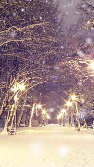 路灯雪景