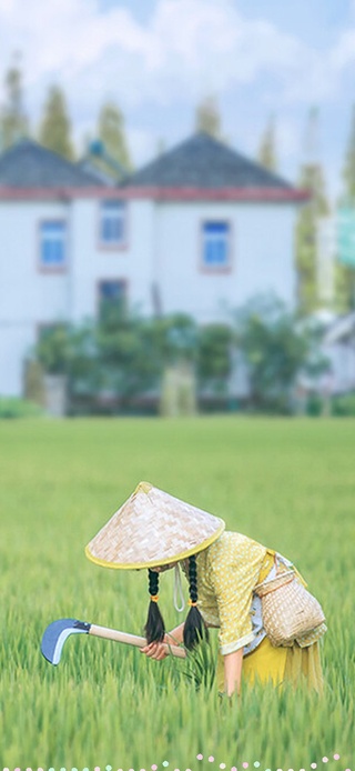 夏日的田野女孩