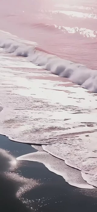 粉色海洋