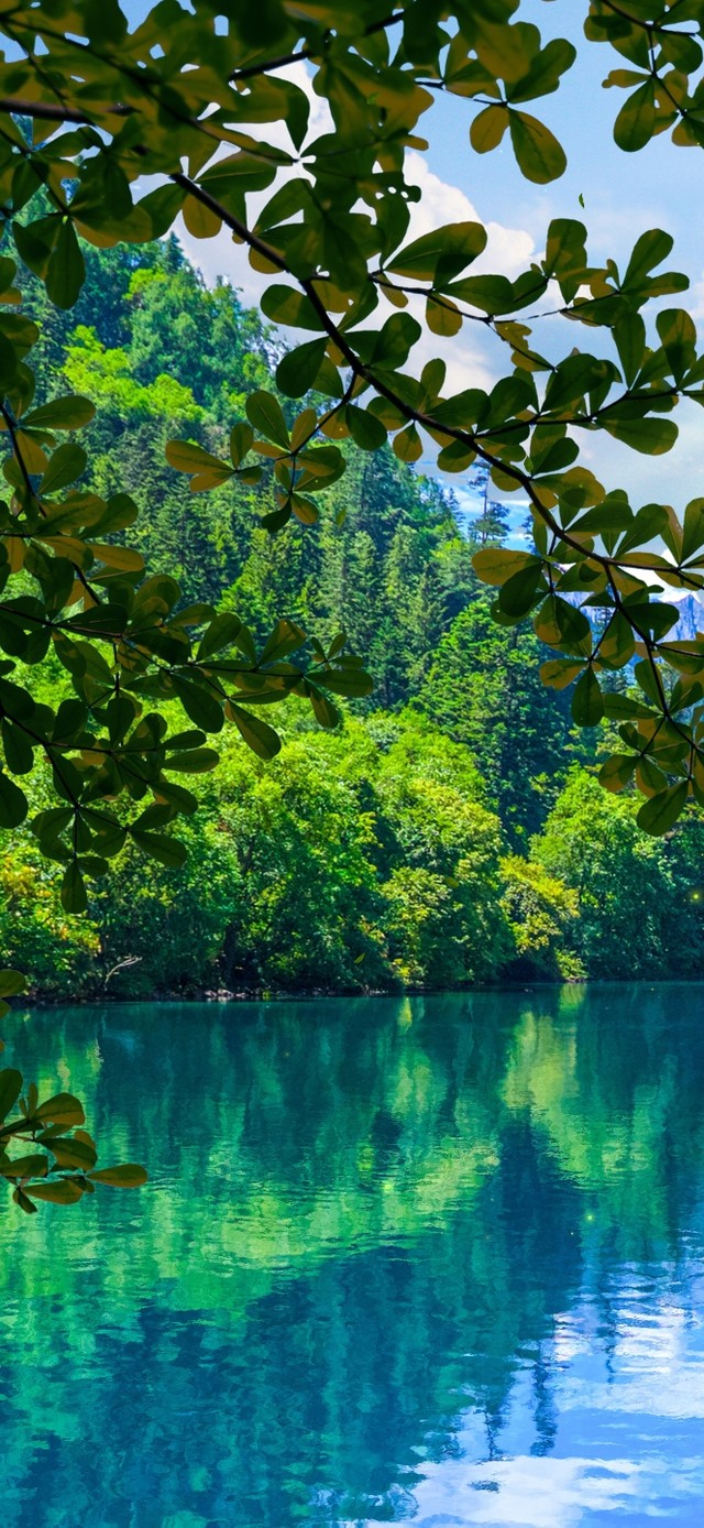 4K护眼碧水如烟九寨沟