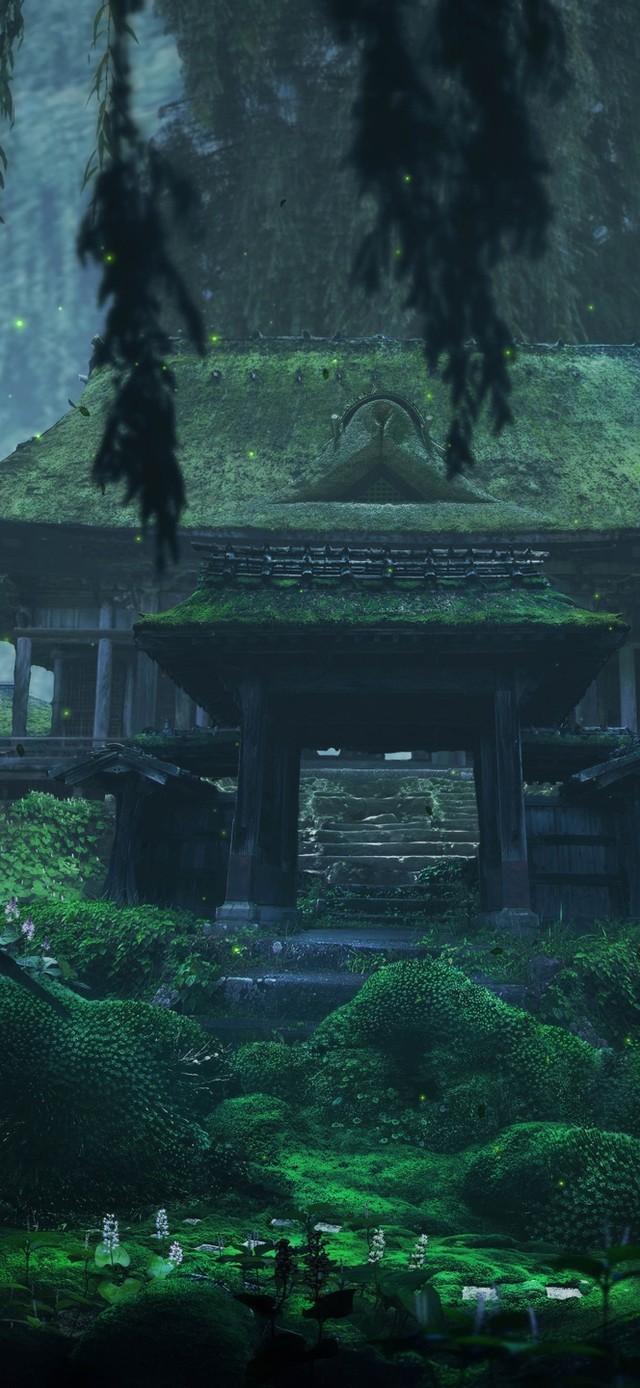 4K古风青苔森林