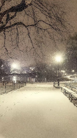 超级治愈粉色雪景