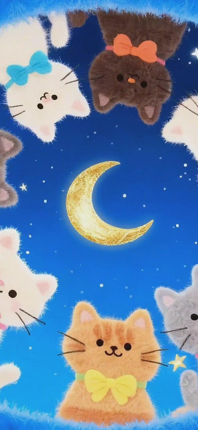 猫咪的梦幻星空