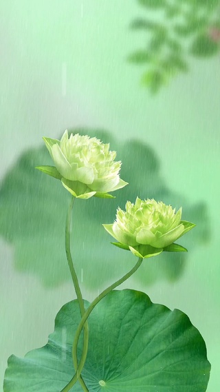 我就在这里望尽天涯