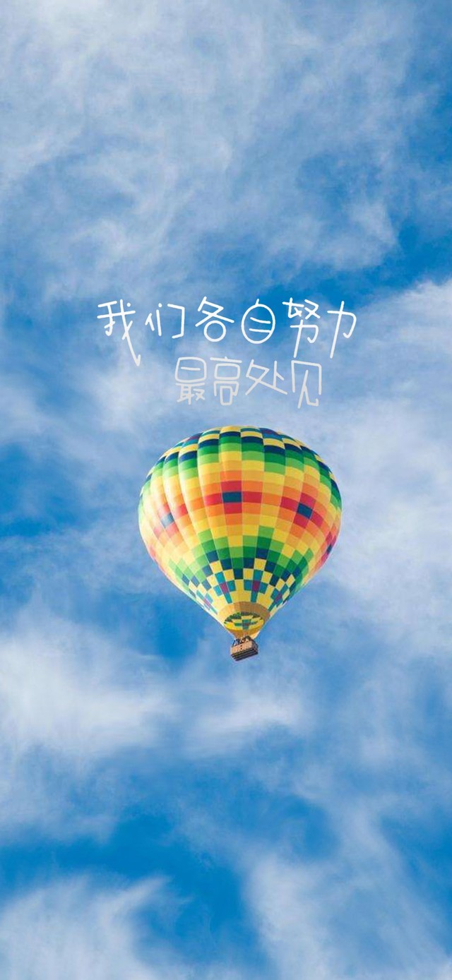 我们各自努力，最高处见。