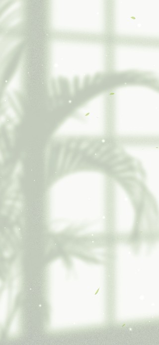 护眼简约窗户盆景光影