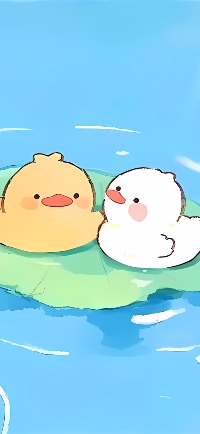 池塘的小鸡