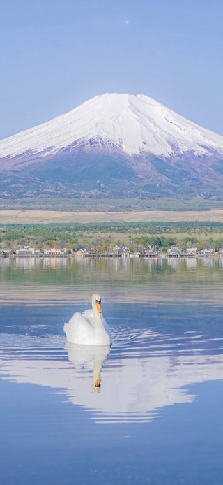 富士山下