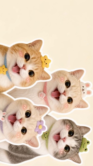 可爱小萌猫