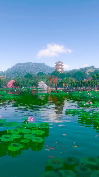 西湖夏景