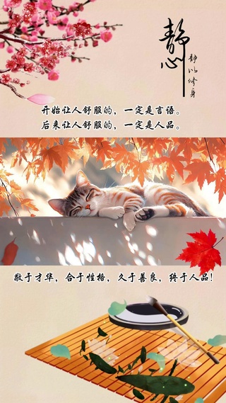 阳光午后
