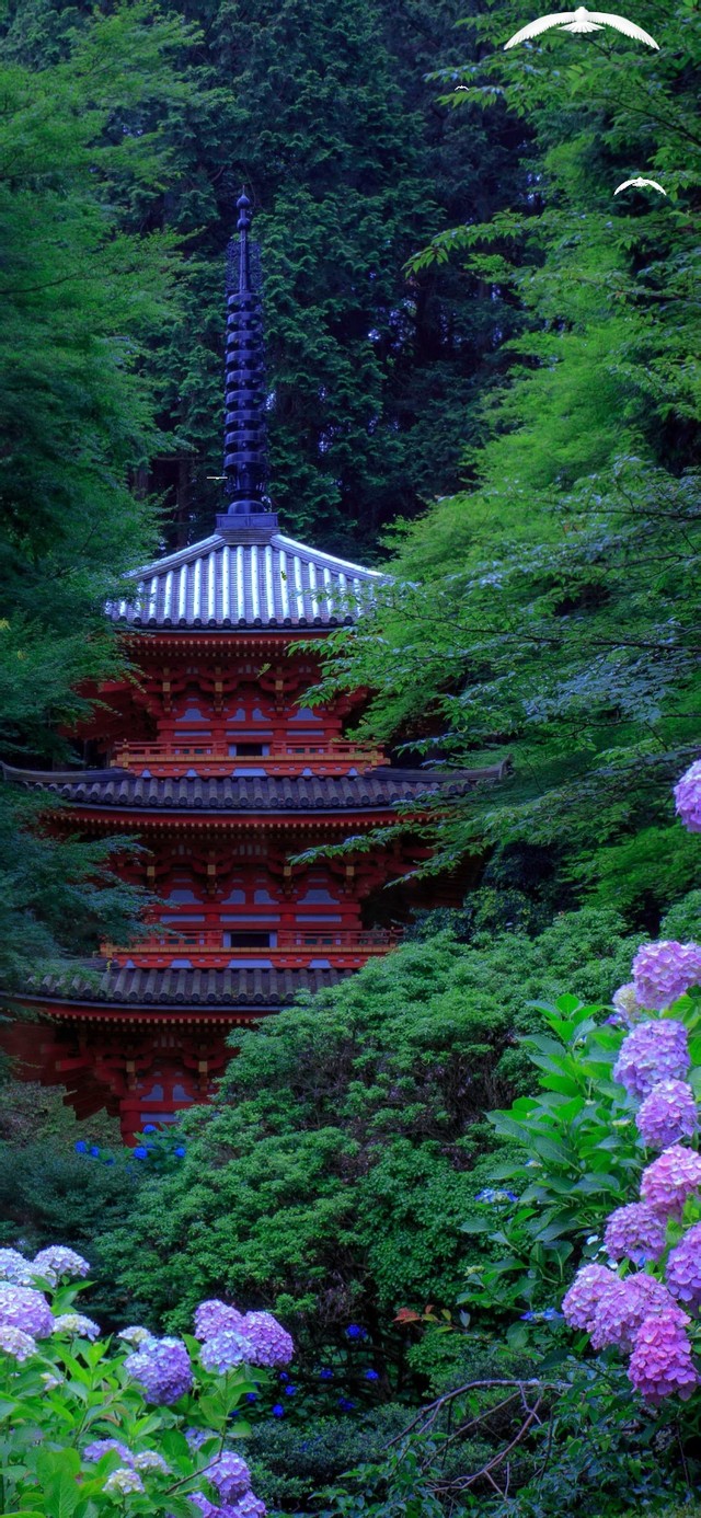 4k高清公园美景