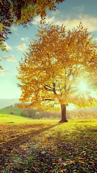 有些人失去才明白