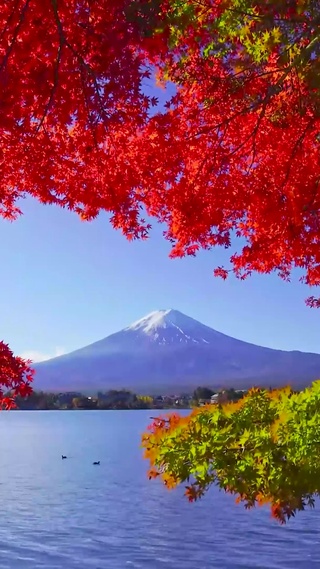 唯美秋天红叶湖富士山