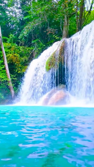 夏日绿林瀑布水潭