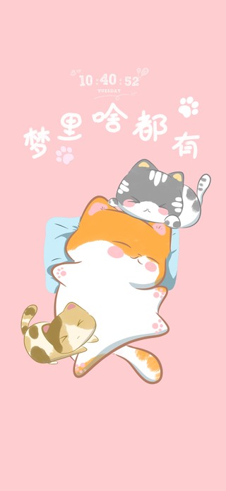 可爱睡觉小猫咪