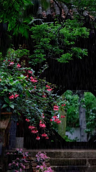 好雨知时节，当春乃发生。