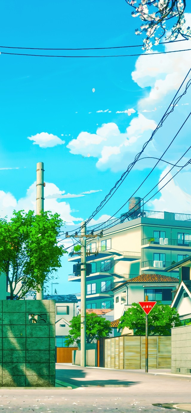 4K唯美治愈日系樱花街道