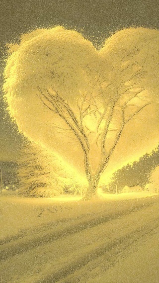 爱心树 氛围雪景
