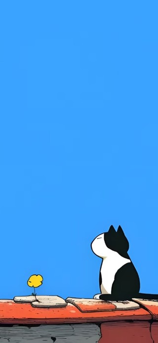 眺望远方的喵