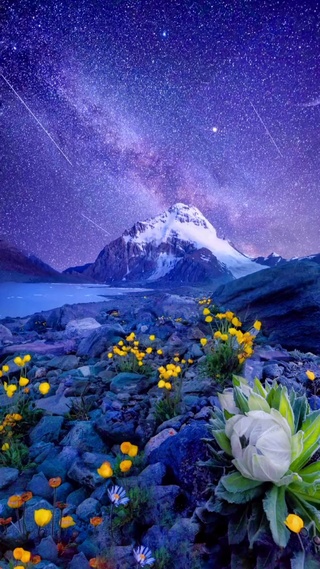 星空梦想
