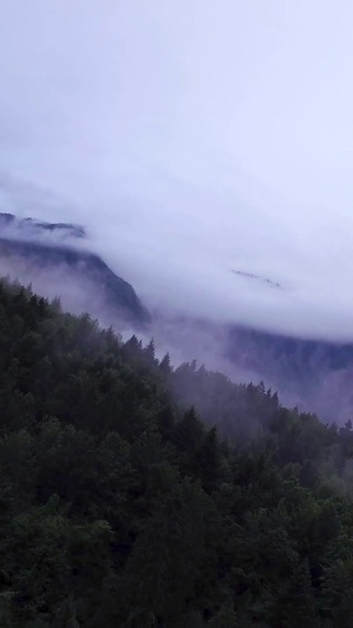 4K 高清 雨云的森林鸟瞰图