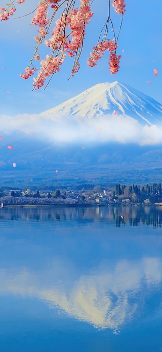 4K唯美治愈富士山樱花湖景