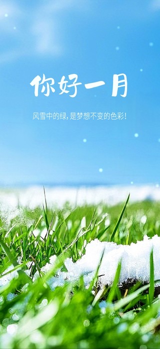 你好一月之青葱的雪地