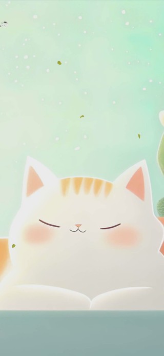 猫咪