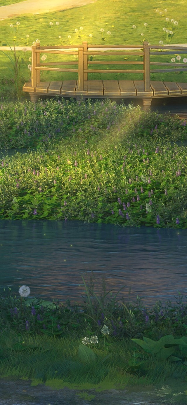 唯美夏日乡村小池塘